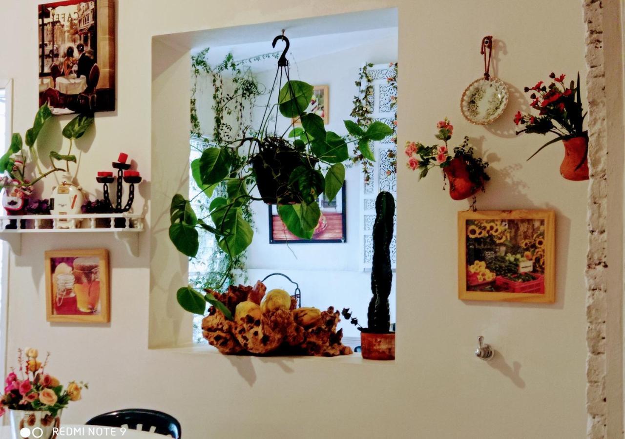 Hotel Boutique Los Remansos Palmira  Zewnętrze zdjęcie